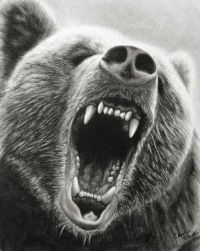 Венер Султанов