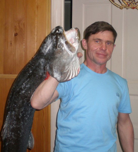 Морев Сергей