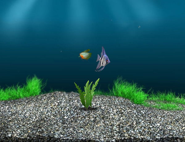 Анатолий Шлахетка