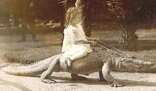 Анастасия Большакова