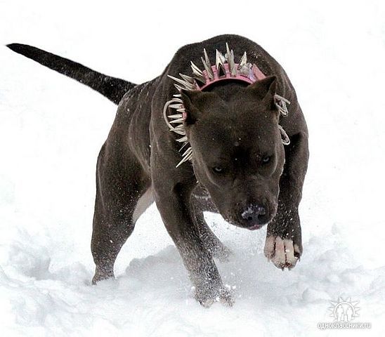 Наталия Плавская