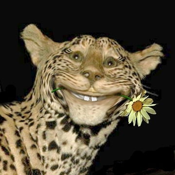 Анатолий Морозовский