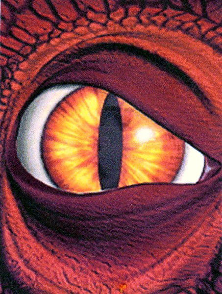 Александр Рева