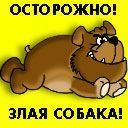 Дмитрий Азаров