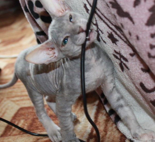 Светл@нк@ !!!!!