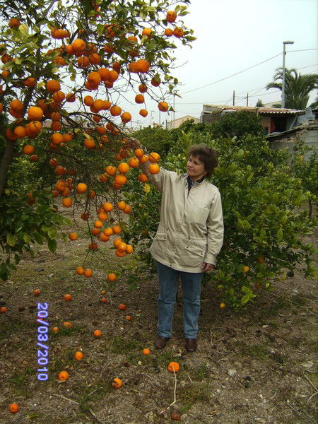 Нина Павлюта