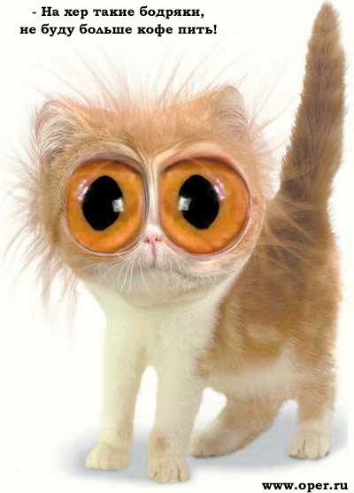 Михаил Колодин