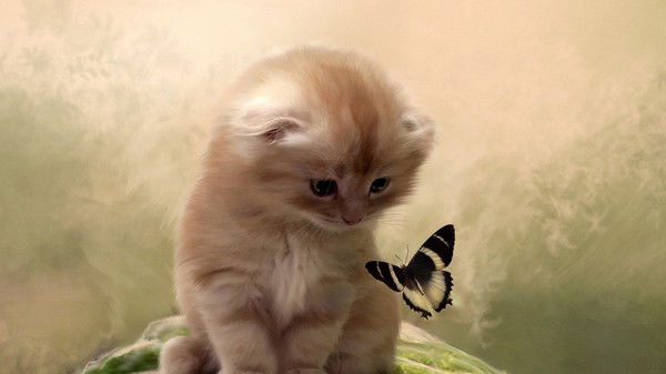 Надежда *********