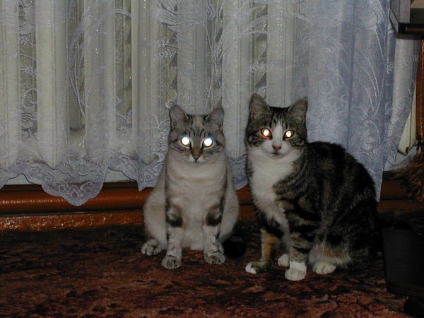 Сергей Румянцев