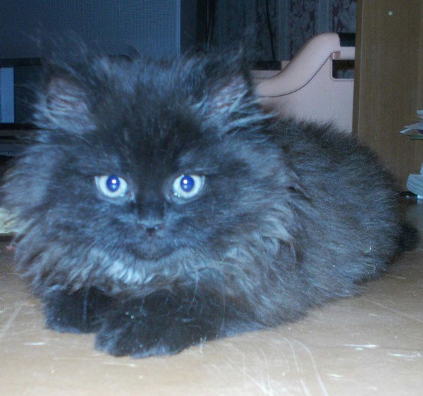 Виктория Коробова