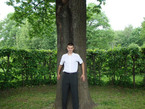 Алексей Ильин