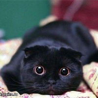 Галина Гусакова