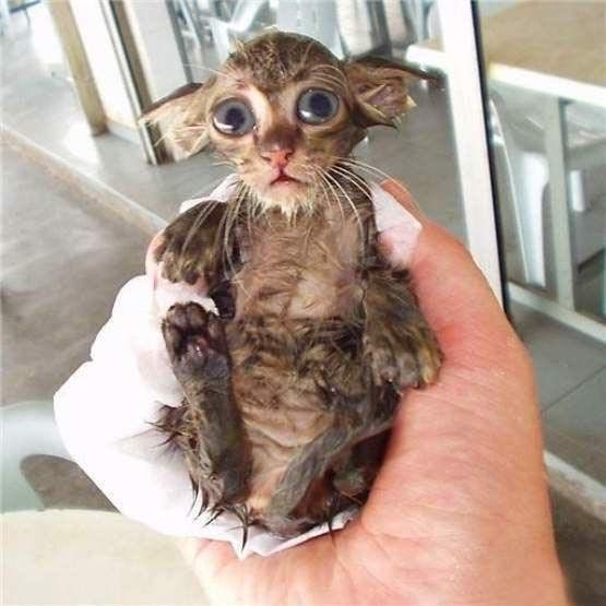 Борис Баландин