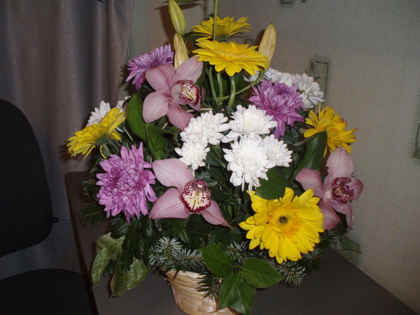 Елена Мельничук