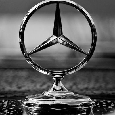 Стас Гаврилов