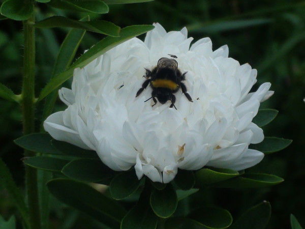 Кристина Баймуратова