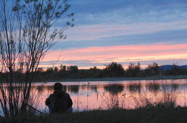 Андрей Цыганков