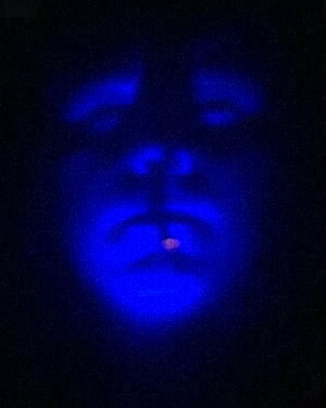 Максим Шевченко