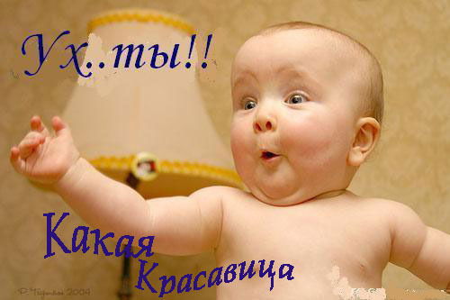 Дмитрий Стрельцов