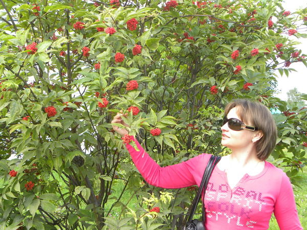 Татьяна Трифонова