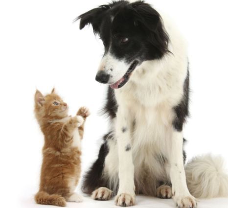 Громова Катя