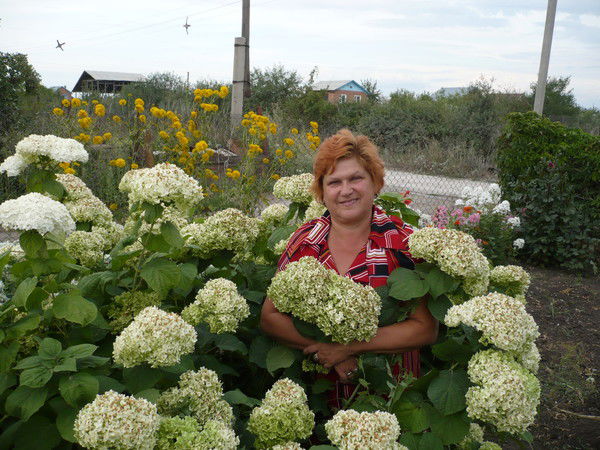 Татьяна Быкова