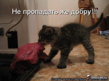 Алексей Алексей