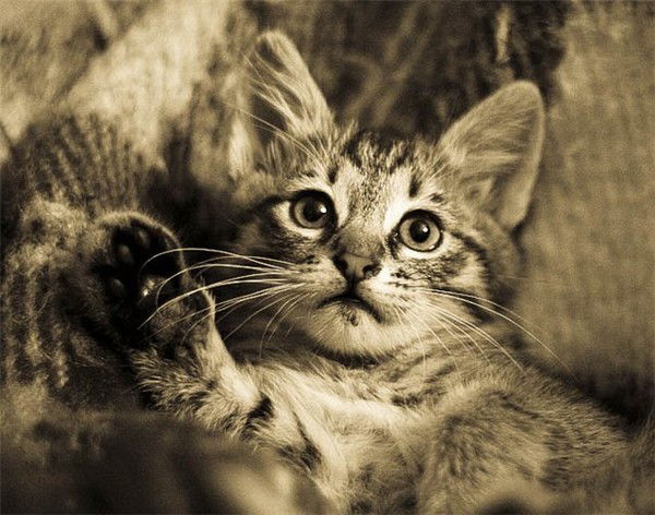 Лариса Тебенькова