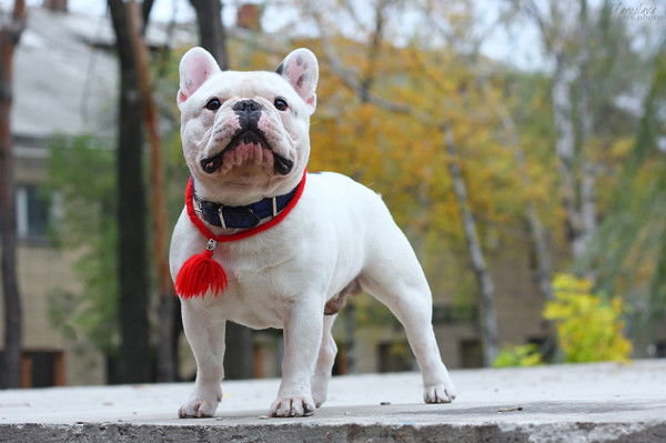 Галямова Юна