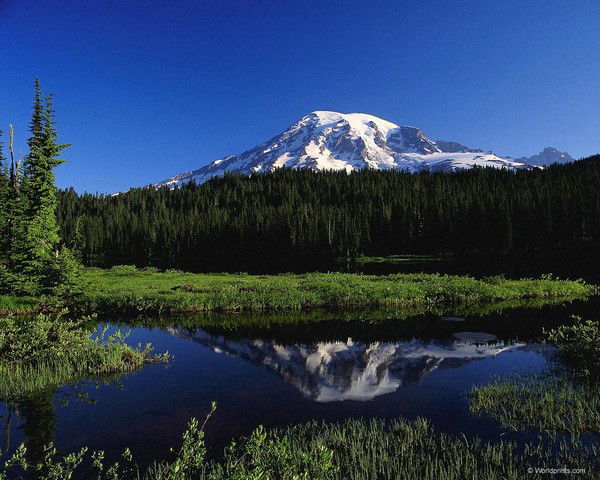 Марина Чурилкина