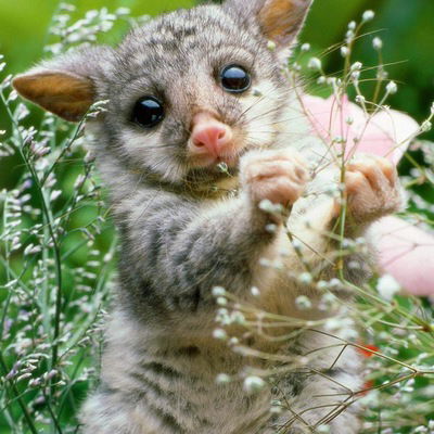 Анна Гильманова