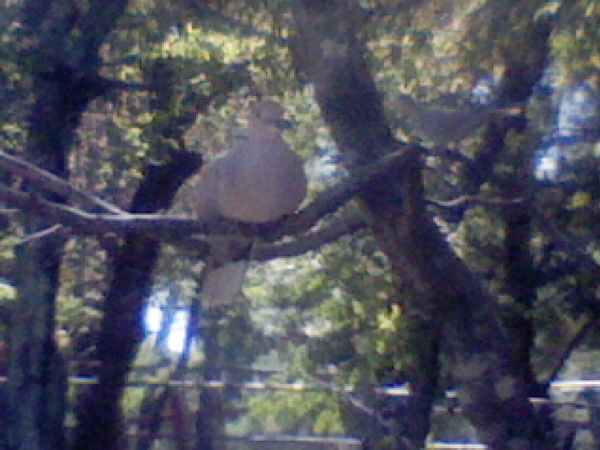 Винер Кусмаев