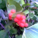 Александр Ермилов