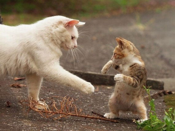 Людмила Лопатина