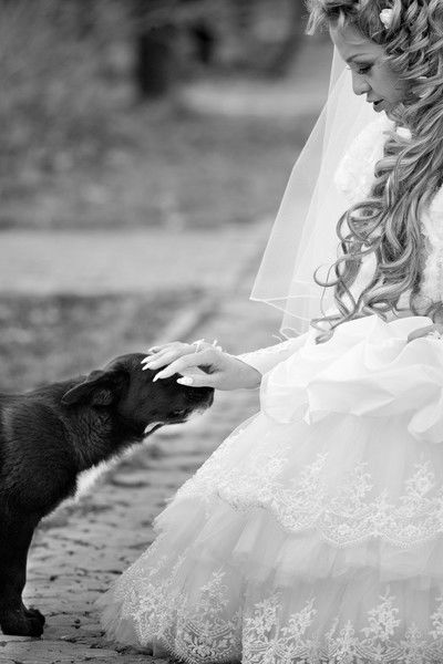 Надежда Колоскова