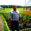 Таурис Каррамов
