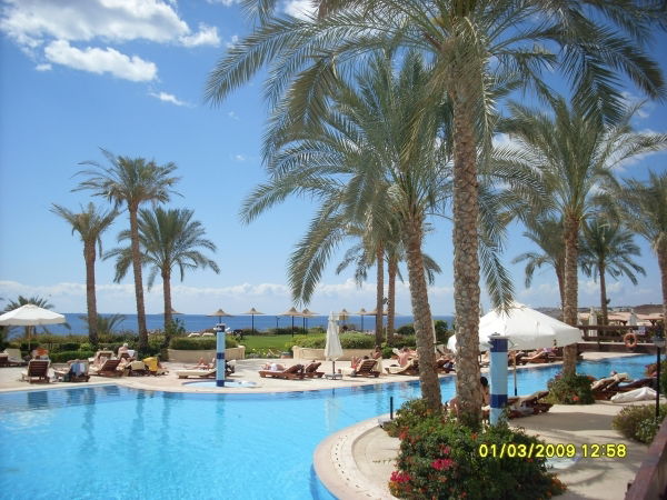 Анна Сударева