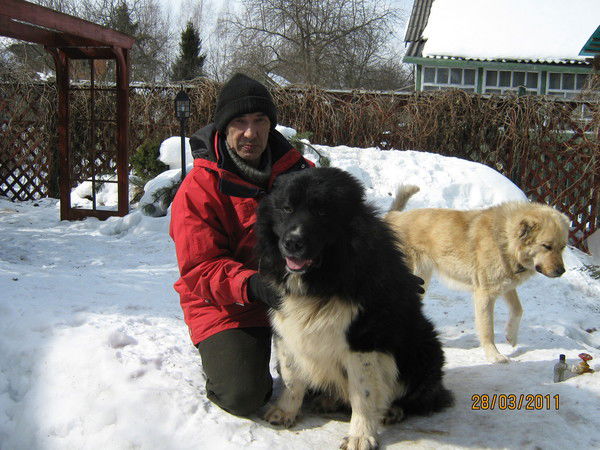 Ординарцев Владимир