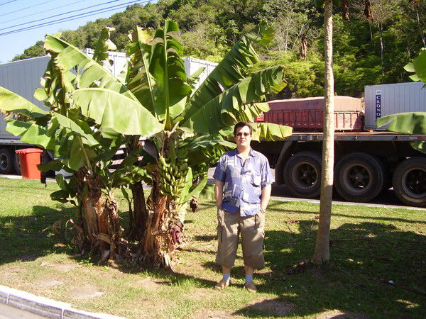 Станислав Кривицкий