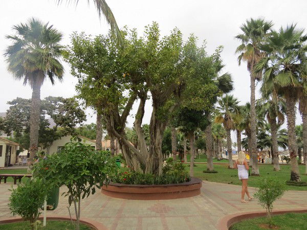 Неизвестно Неизвестно