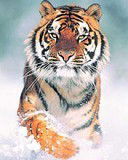 Галина Перепечина