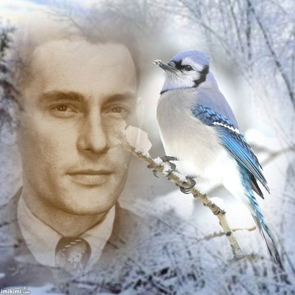 Виктор Пурга