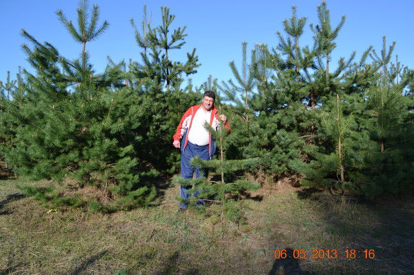 Владимир Сотник