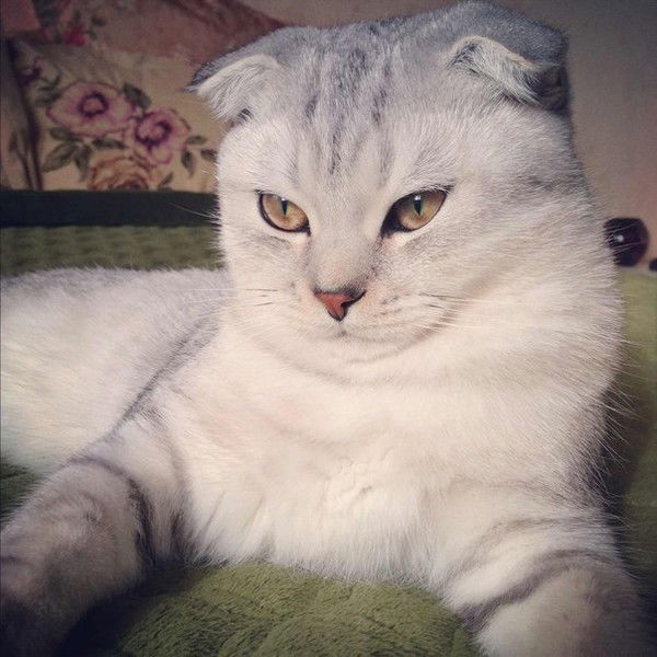 Татьяна Сащенко