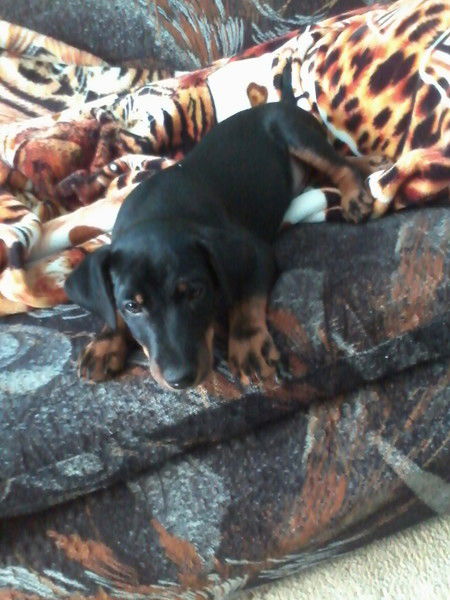 Екатерина Хаметова