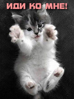 Ольга Вадюхина