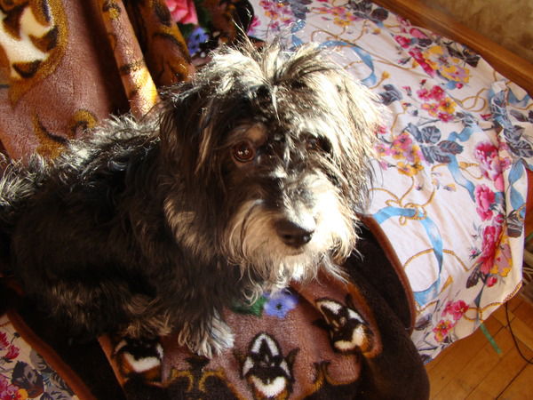 Ивана Иванова