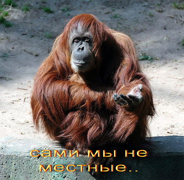 Галина Максимова