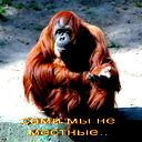 Галина Максимова