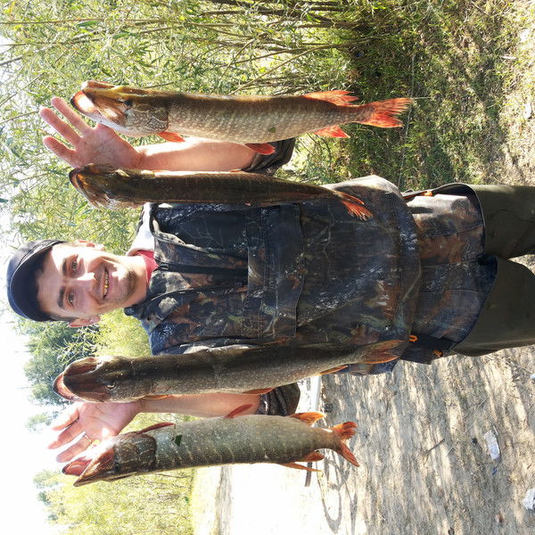 Роман Тютин